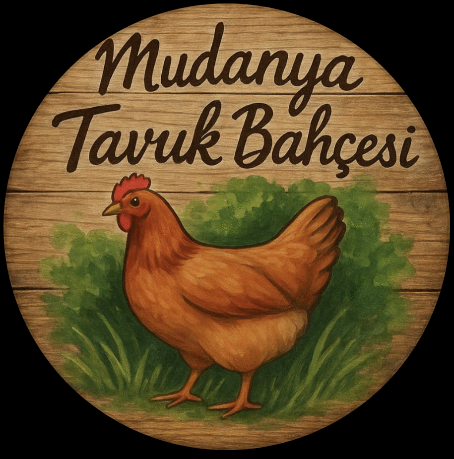 Mudanya Tavuk Bahçesi 